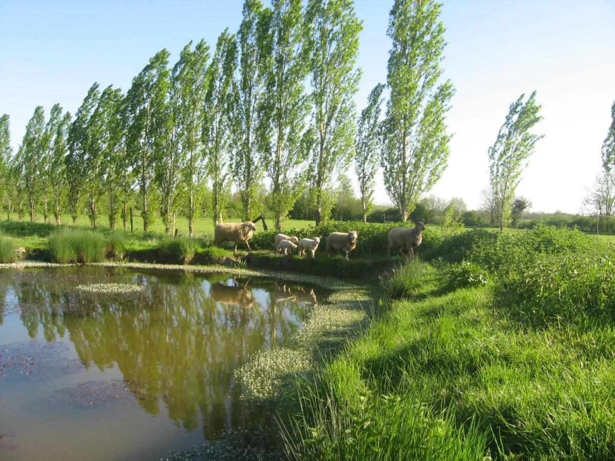 La Ferme De Magnantru Bed & Breakfast Perigne Dış mekan fotoğraf